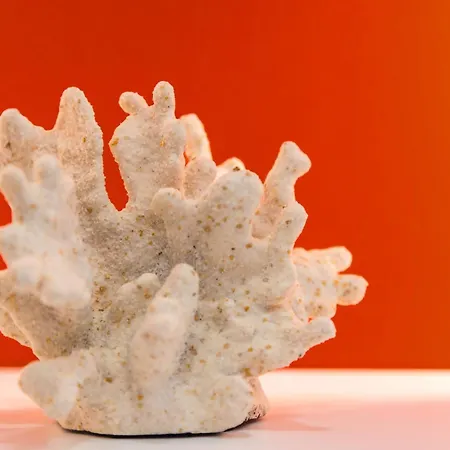 شقة Nuovo Nel Cuore Di At Twenty One - Coral